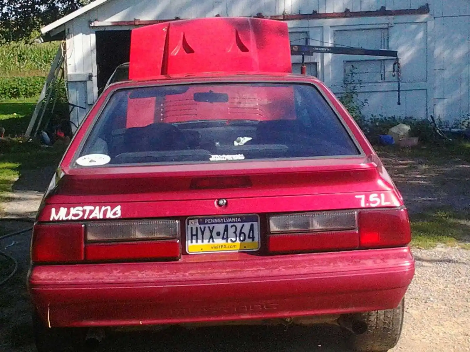 robin stang 2.webp