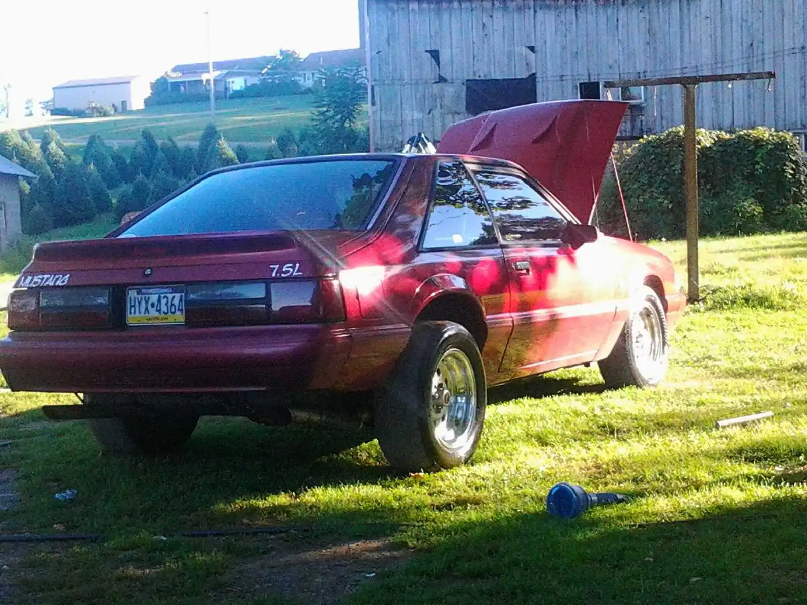 robin  stang 3.webp