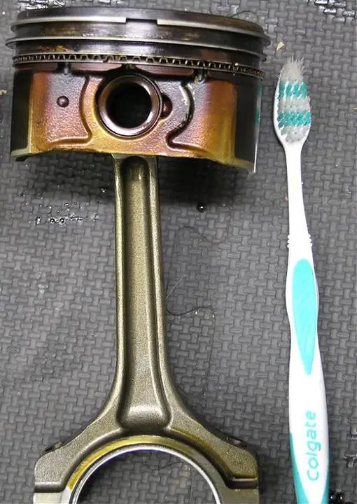 rodtoothbrush.webp
