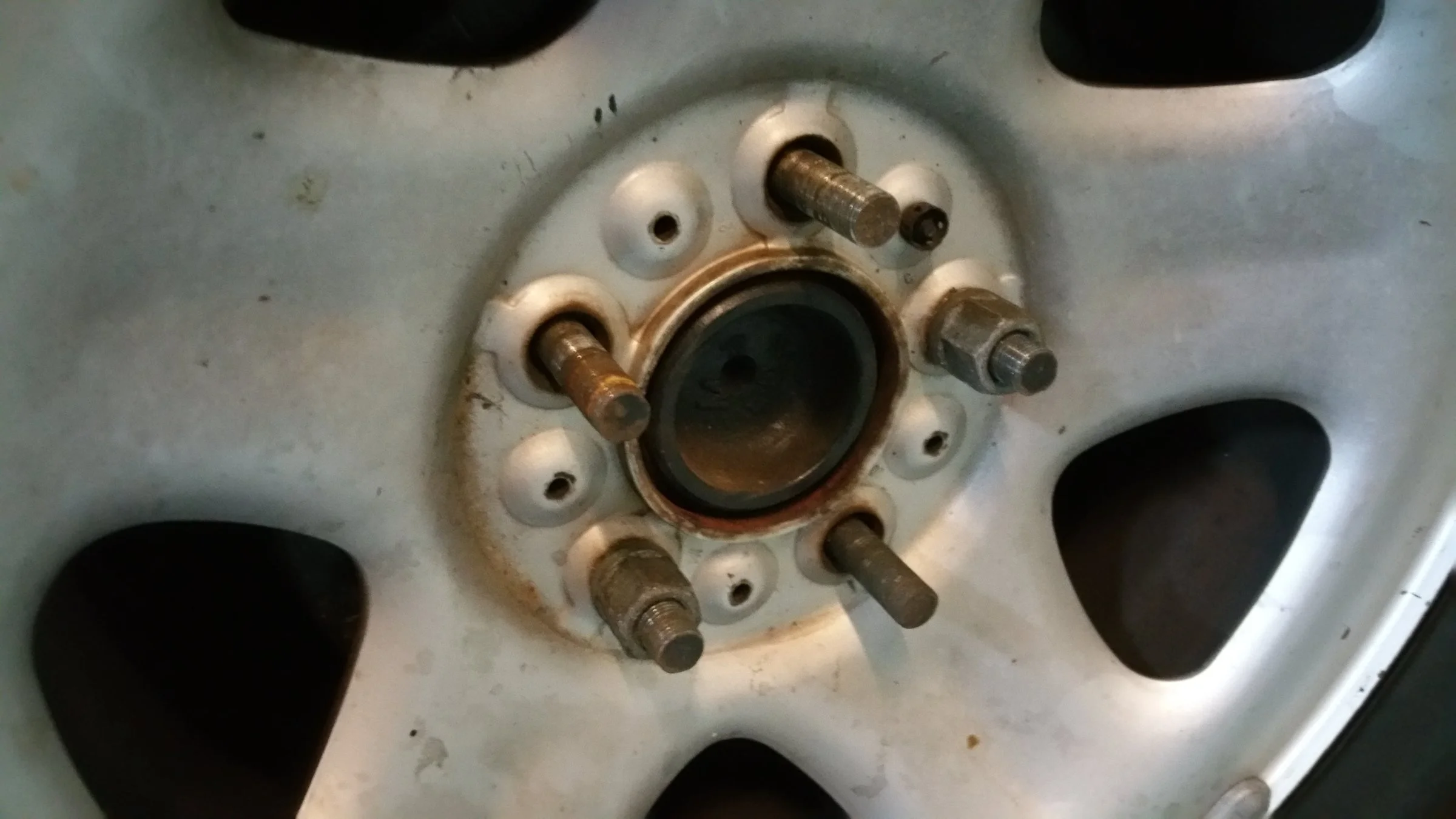 roller4.webp