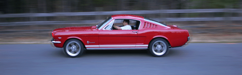 rollin7sj.gif