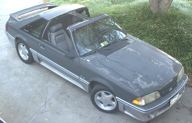 roofshot1_zps22e7a12e.webp