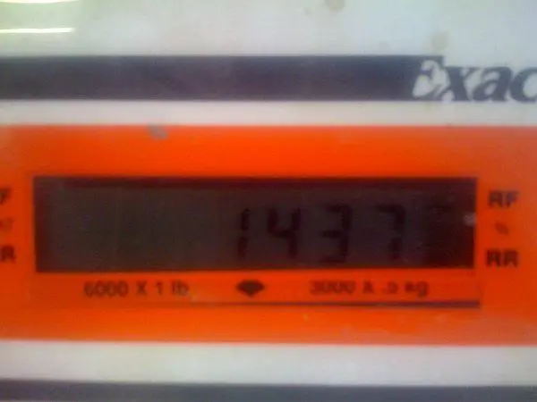 rtwait.webp