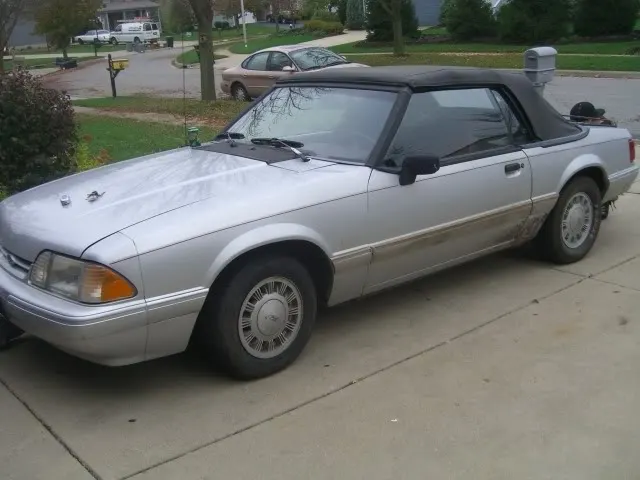 ryansstang002hyh.webp