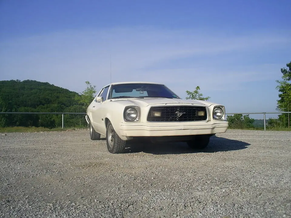 S4020204.webp