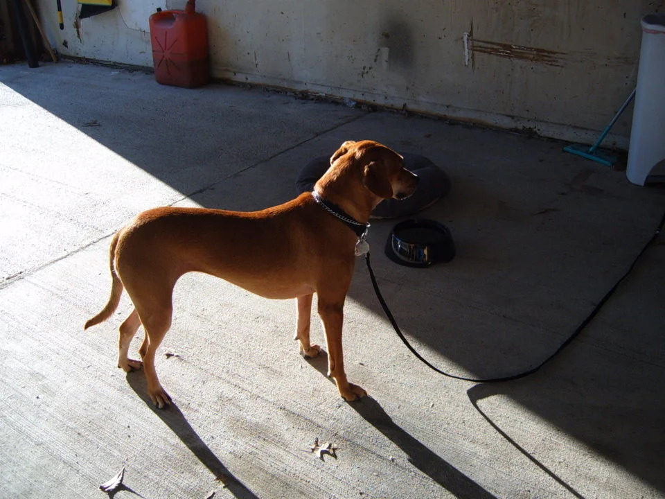 S4300016.webp