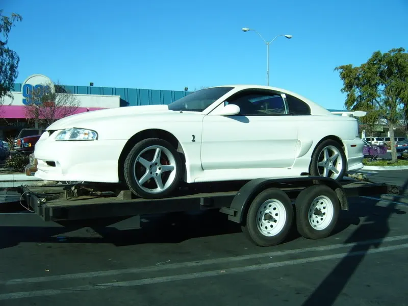 S4300241.webp