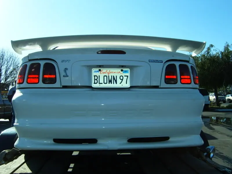 S4300245.webp