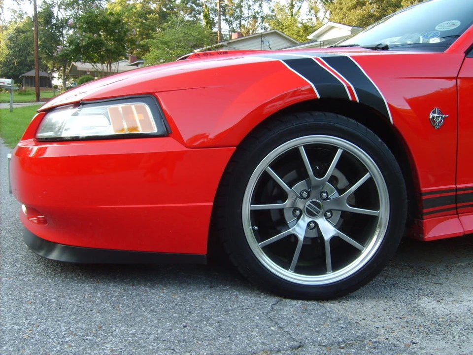 S5000469.webp