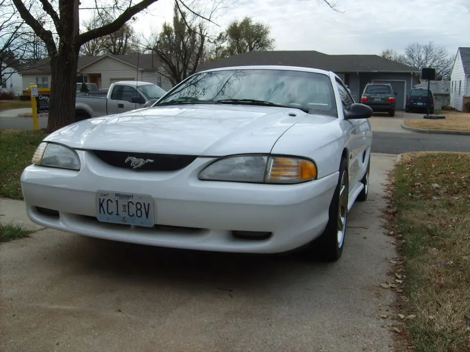 S5000541.webp