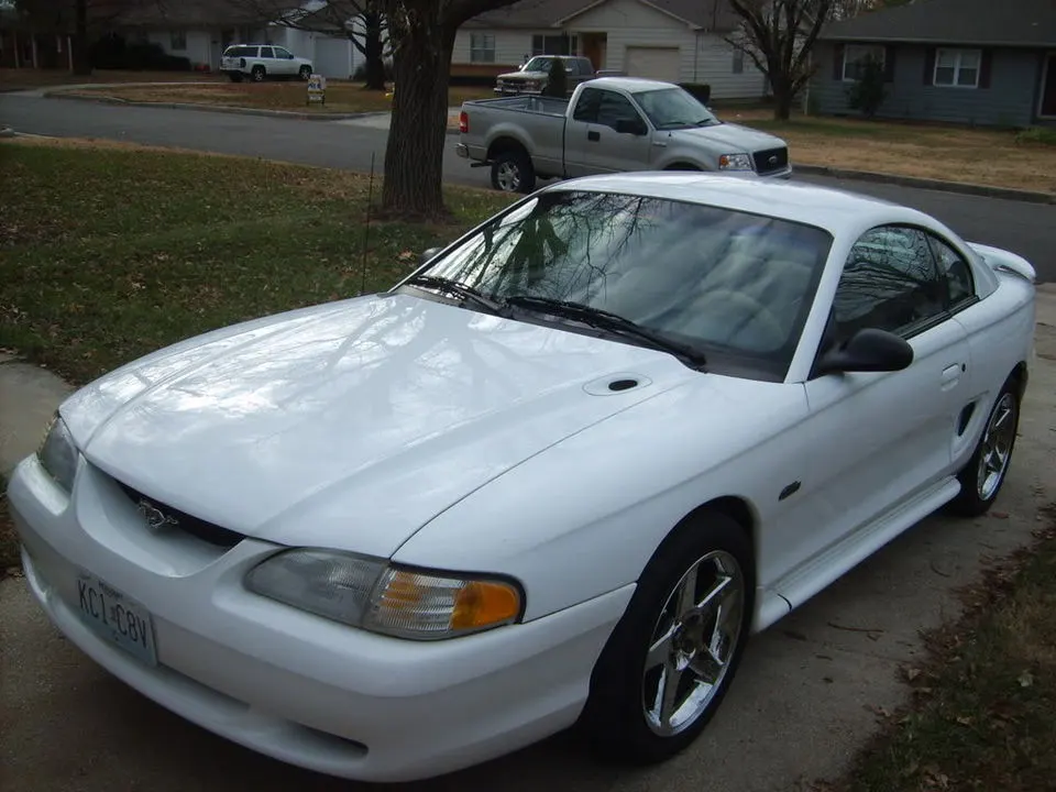 S5000544.webp