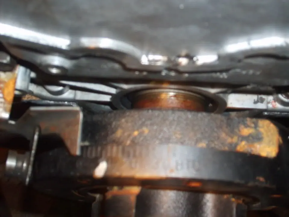 S5001572.webp
