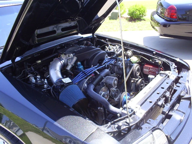 S5030766.webp