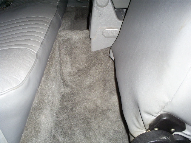 S5030798.webp