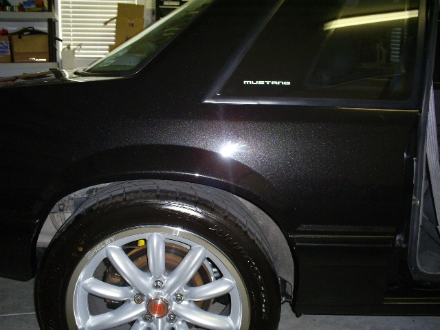 S5030799.webp