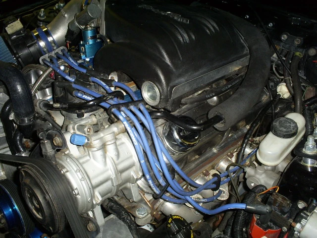 S5030814.webp
