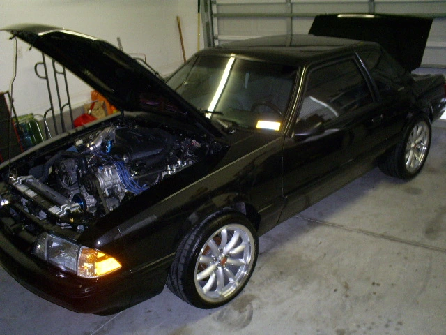 S5030819.webp