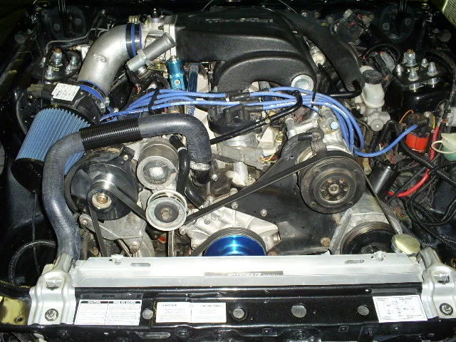 S5030844.webp
