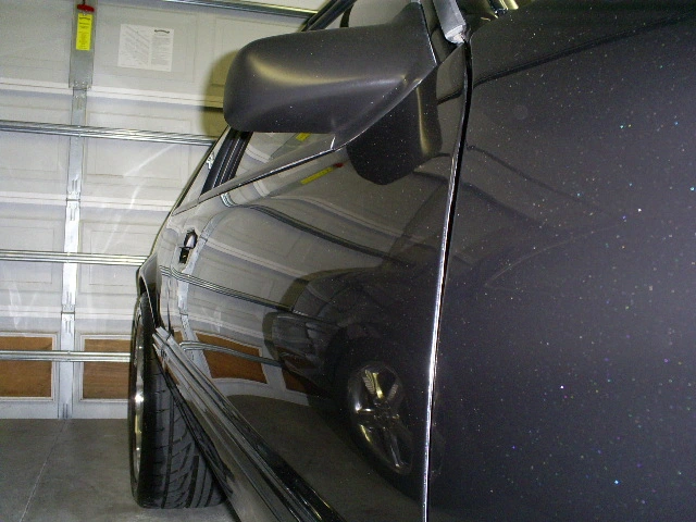 S5030850.webp