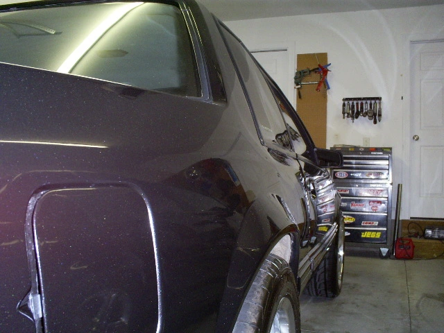 S5030851.webp