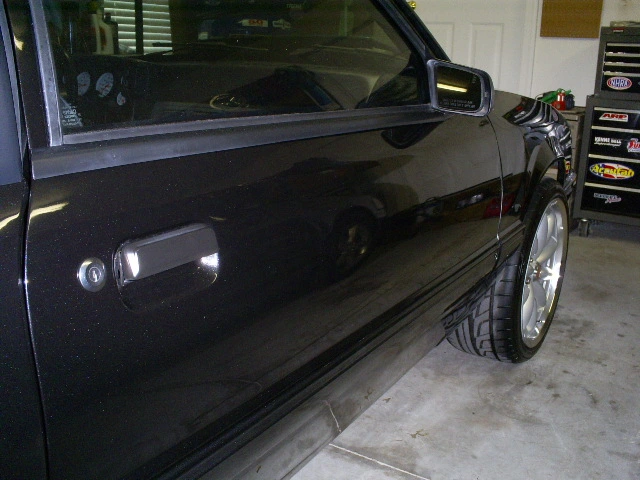S5030854.webp