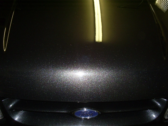 S5030862.webp