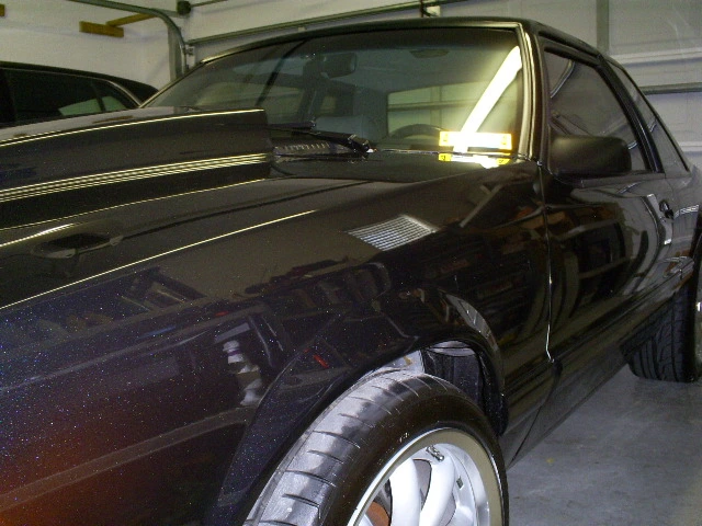 S5030868.webp