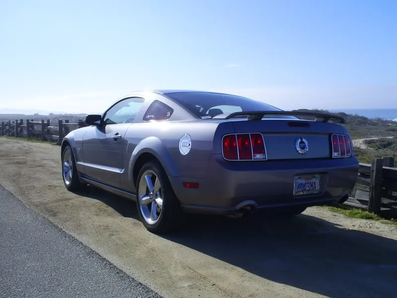 S5031493.webp