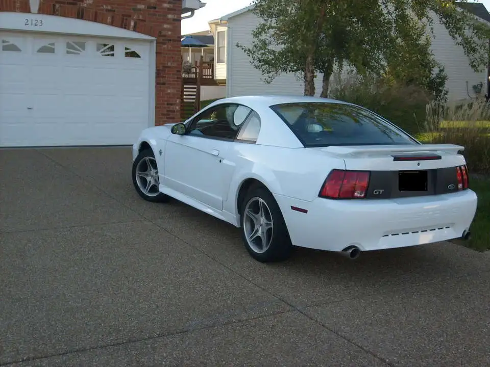 S6300305.webp