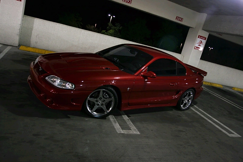 saleen just like mine 2.webp