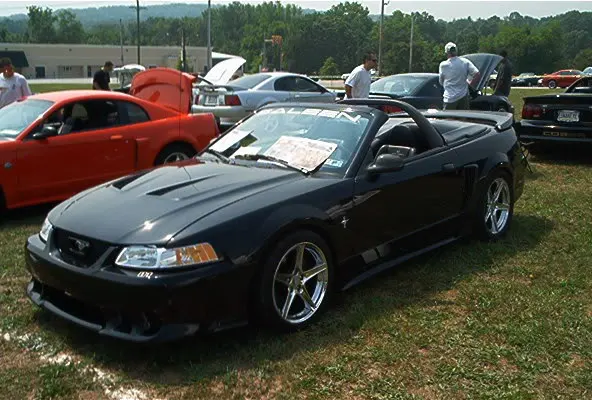 Saleen.webp