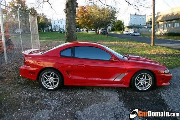 Saleen.webp
