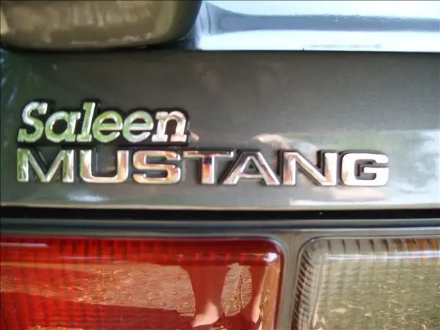 Saleen004.webp