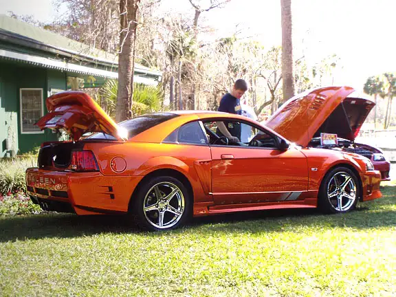 saleen01.webp