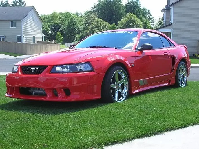 saleen1.webp