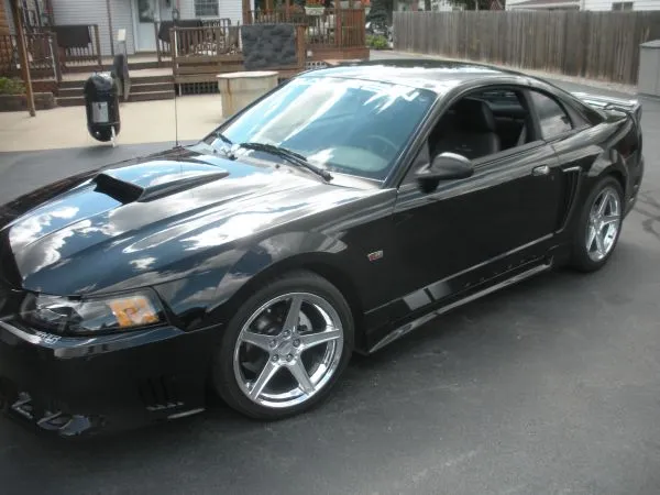 saleen12.webp