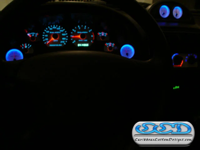 saleen14.webp
