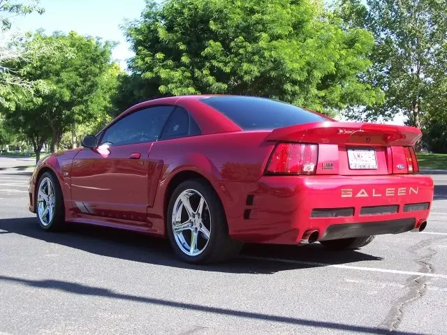 Saleen201.webp