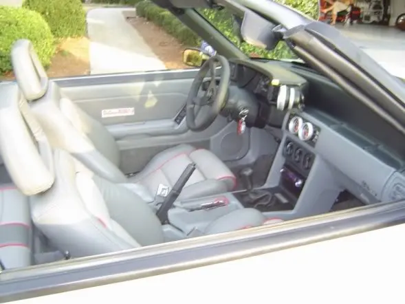 Saleen3.webp