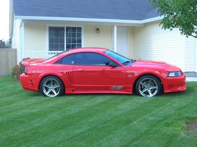 saleen3.webp