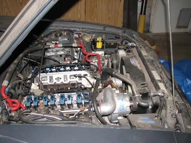 saleen3.webp