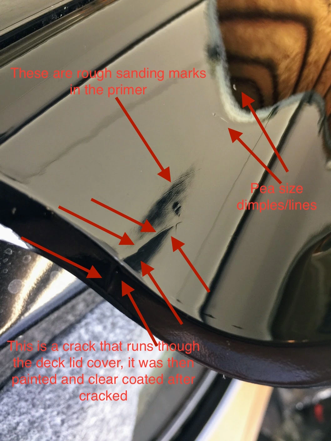 saleen_rear_deck_lid_crack_and_sand.webp