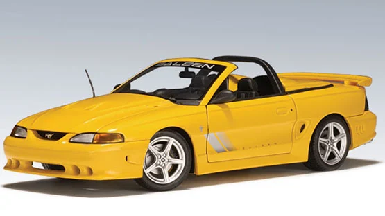saleen_y.webp