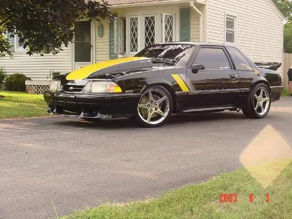 saleenbotch-1.webp