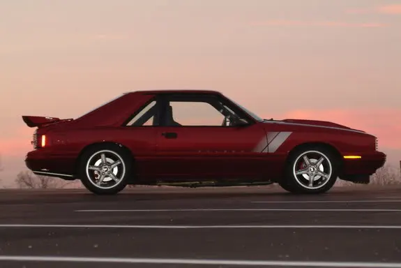 SaleenCapri2.webp