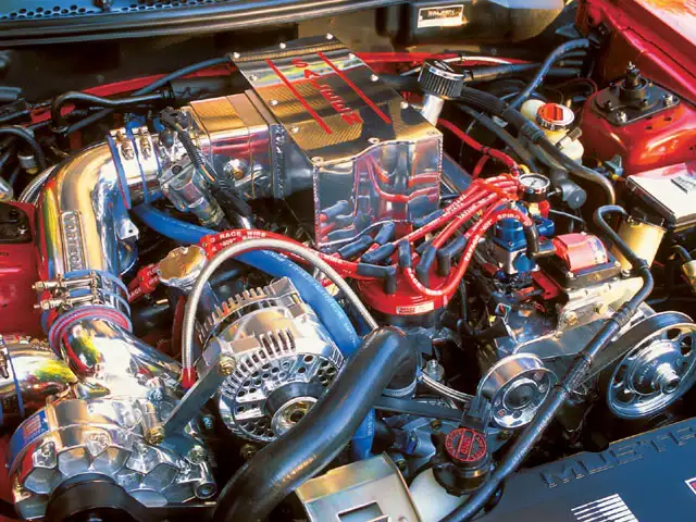 SaleenEngine-1.webp
