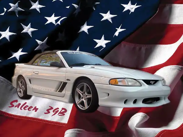 Saleenflag.webp