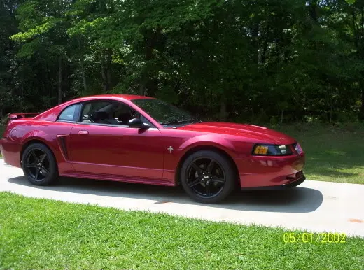 Saleens006.webp