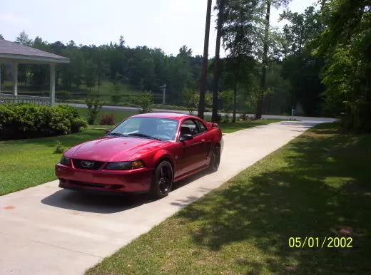 Saleens007.webp