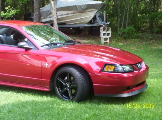 Saleens012.webp
